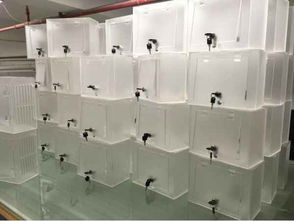 东莞市虎门聚力工艺制品厂